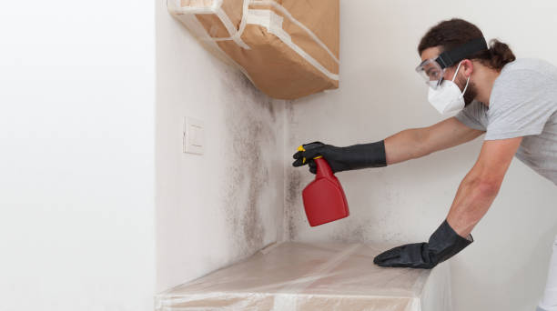 Professional Mold Testing technician working in Millburn, NJ